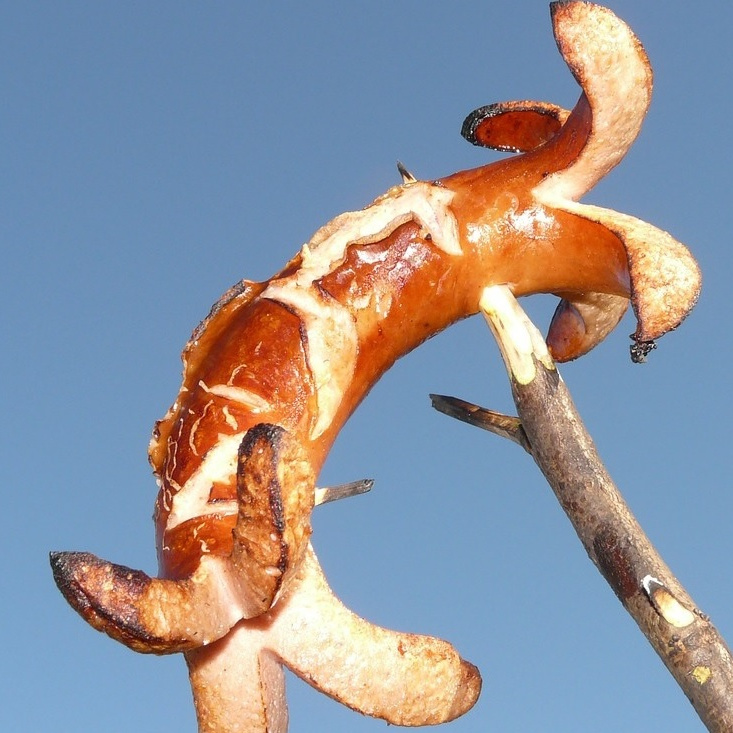 Bratwurst am Spieß